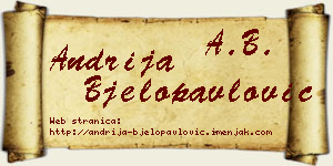 Andrija Bjelopavlović vizit kartica
